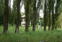 w1